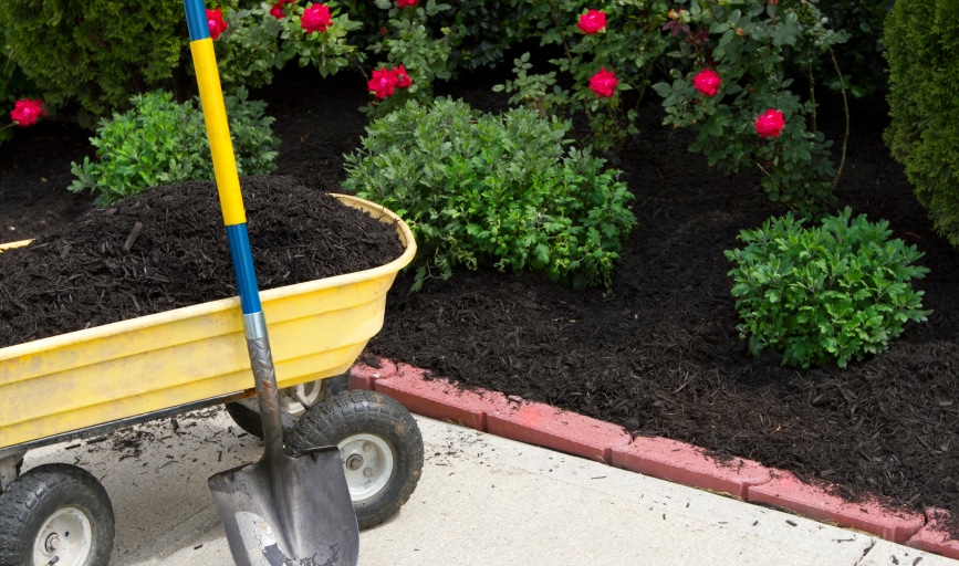 Mulching